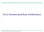 Ch.12 Chromosomal Basis of Inheritance - slide 1