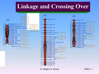 Linkage and Crossing Over