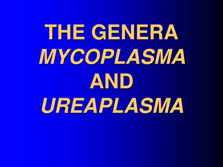 the genera mycoplasma and ureaplasma