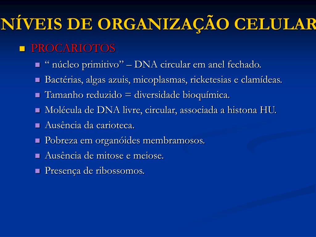 PPT - NÍVEIS DE ORGANIZAÇÃO CELULAR PowerPoint Presentation, free ...