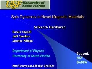 Spin Dynamics in Novel Magnetic Materials
