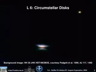 L 6: Circumstellar Disks