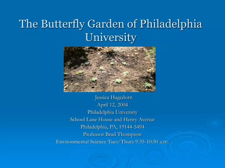 the butterfly garden of philadelphia university