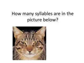 How many syllables are in the picture below?