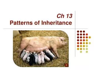 Ch 13 Patterns of Inheritance