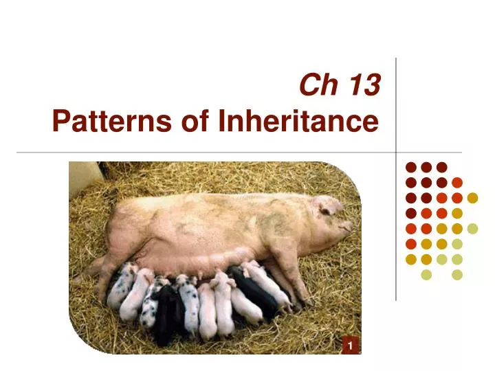 ch 13 patterns of inheritance