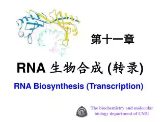 RNA Biosynthesis (Transcription)