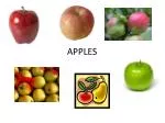 APPLES - slide 1