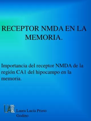 receptor nmda en la memoria