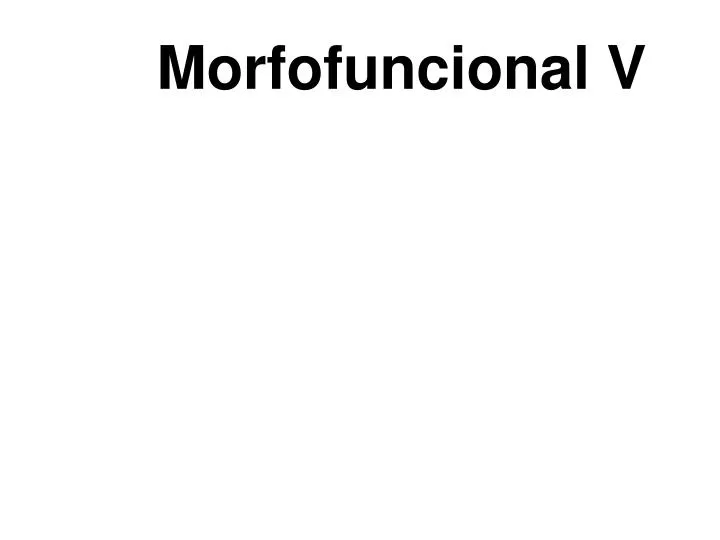 morfofuncional v