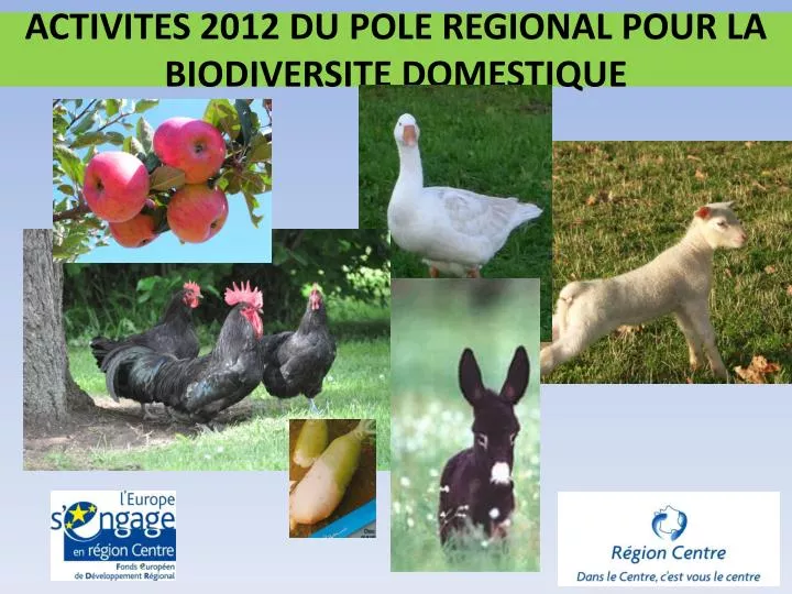 activites 2012 du pole regional pour la biodiversite domestique