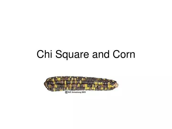 chi square and corn