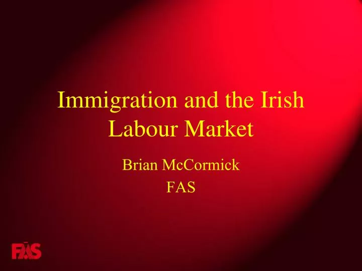 immigration and the irish labour market