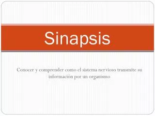 sinapsis