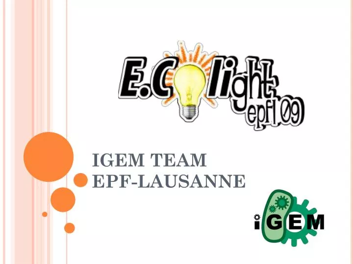 igem team epf lausanne