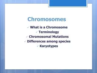 Chromosomes