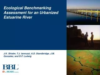 Ecological Benchmarking Assessment for an Urbanized Estuarine River