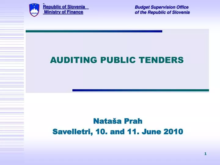 auditing public tenders