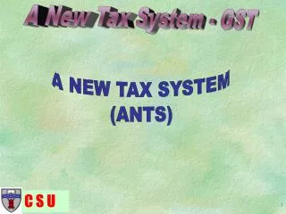 A NEW TAX SYSTEM (ANTS)