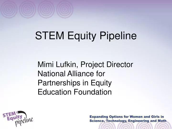 stem equity pipeline