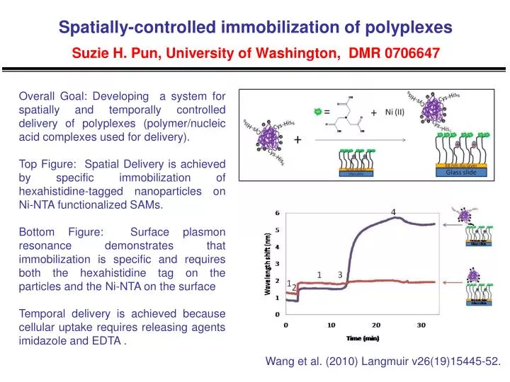 spatially controlled immobilization of polyplexes suzie h pun university of washington dmr 0706647