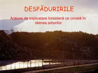 desp duririle