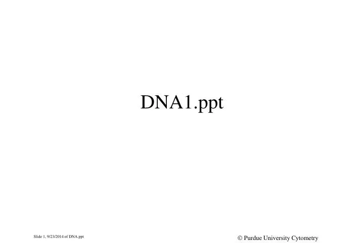 dna1 ppt