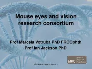 Mouse eyes and vision research consortium