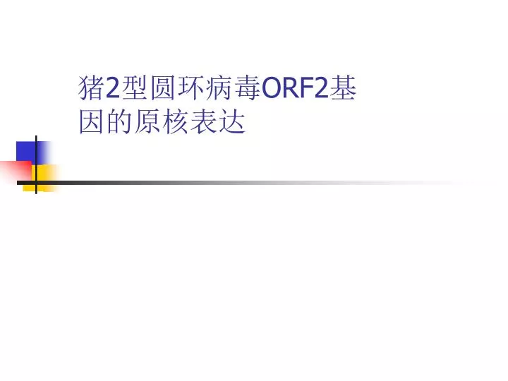 2 orf2