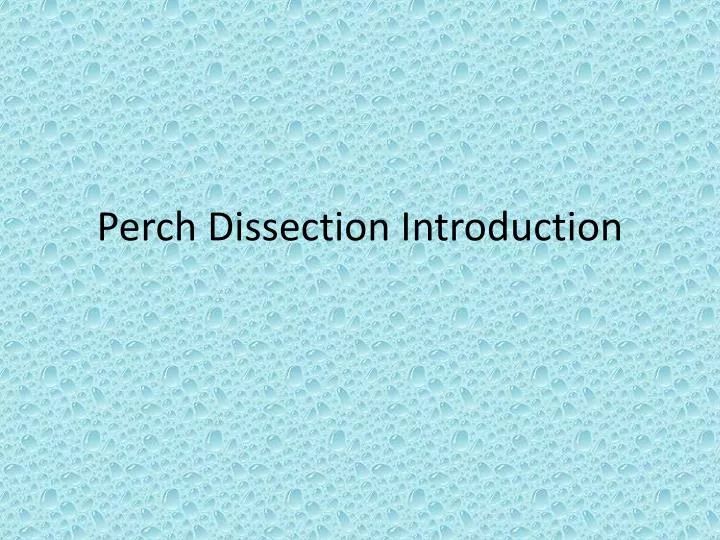 perch dissection introduction