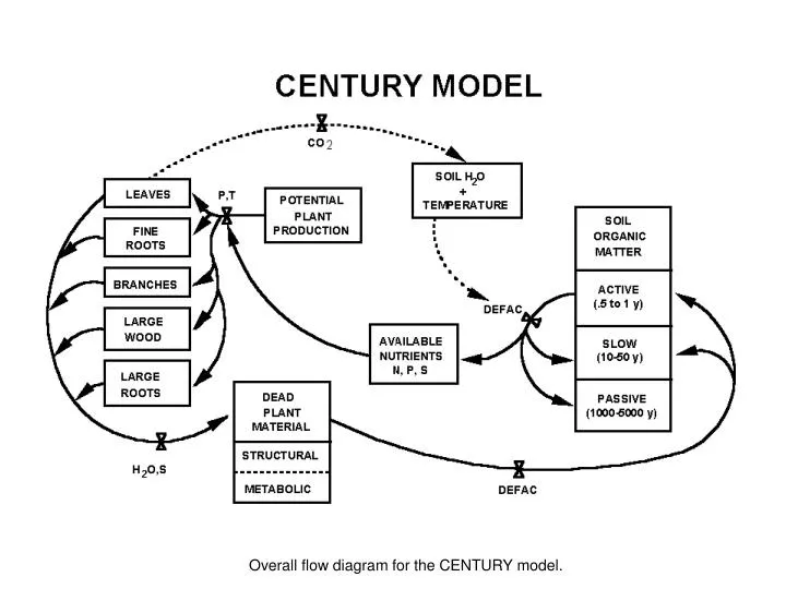 overall flow diagram for the century model