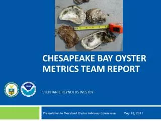 Chesapeake Bay Oyster Metrics TEAM report STEPHANIE reynolds WESTBY