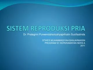sistem reproduksi pria