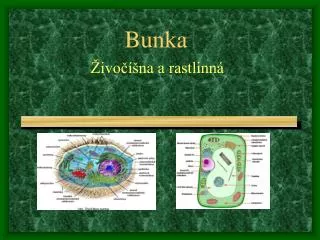 bunka
