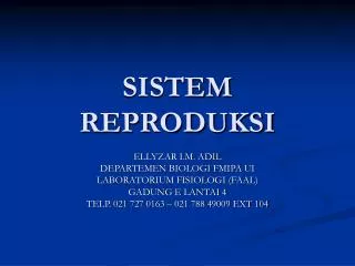 sistem reproduksi