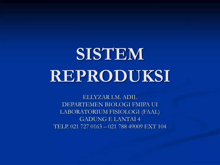 sistem reproduksi