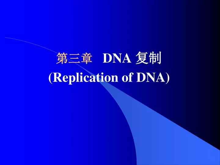 dna replication of dna