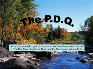 The P.D.Q.