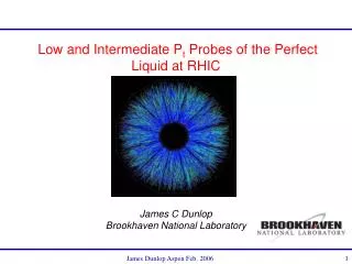 Low and Intermediate P t Probes of the Perfect Liquid at RHIC