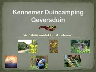 kennemer duincamping geversduin