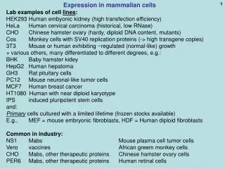 Expression in mammalian cells Lab examples of cell lines :