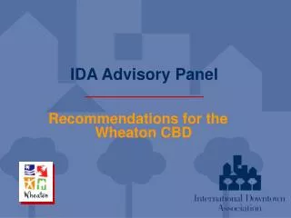 IDA Advisory Panel