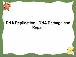 DNA Replication , DNA Damage and Repair