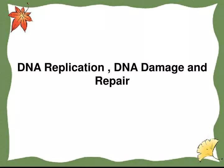 dna replication dna damage and repair