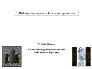 DNA microarrays and functional genomics