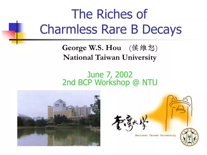 the riches of charmless rare b decays