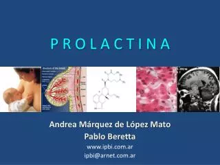 p r o l a c t i n a