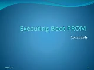 Executing Boot PROM