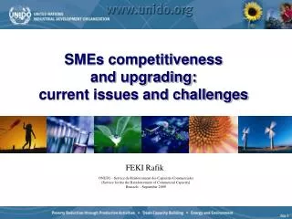 SMEs competitiveness and upgrading: current issues and challenges