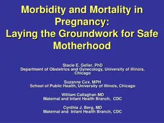 Morbidity and Mortality in Pregnancy: Laying the Groundwork for Safe Motherhood